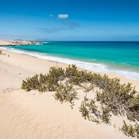 شقة Home2book Cozy Near The In *