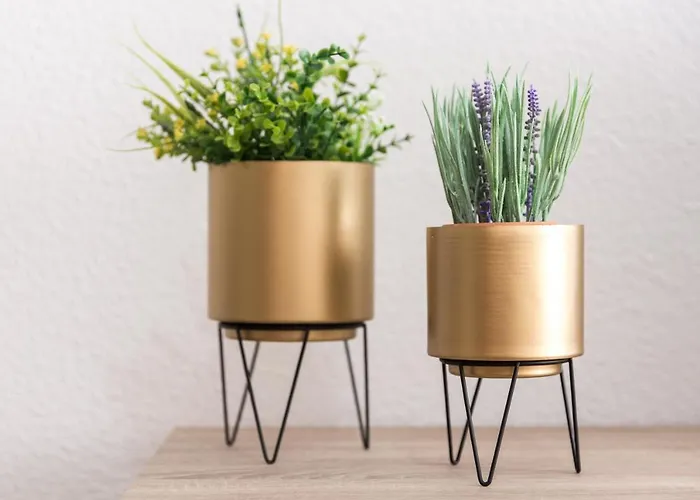 Appartamento Home2book Cozy Near The In *