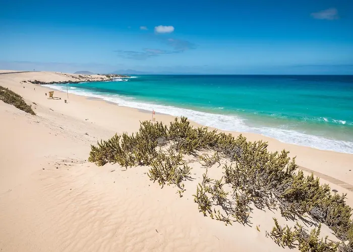 Daire Home2book Cozy Near The In *