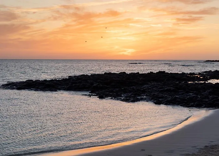 Home2book Cozy Near The In * 그란 타라할