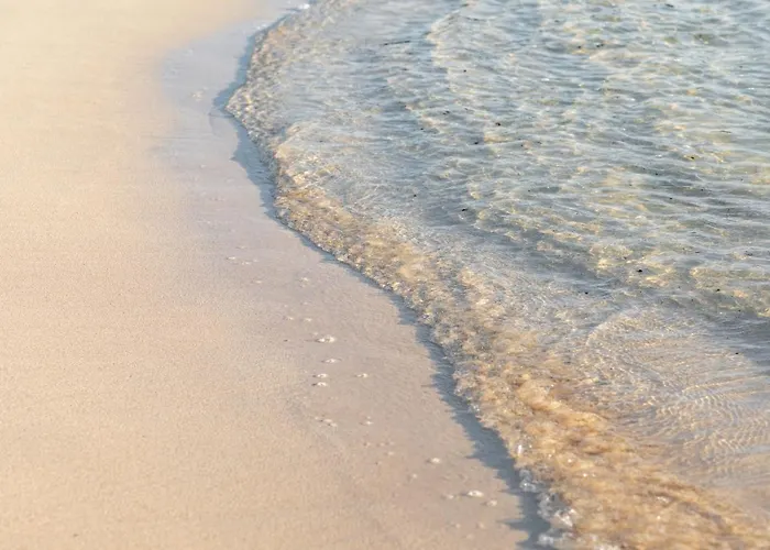 Home2book Cozy Near The In アパート *